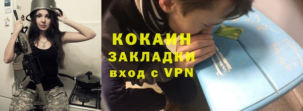 шишки Волосово