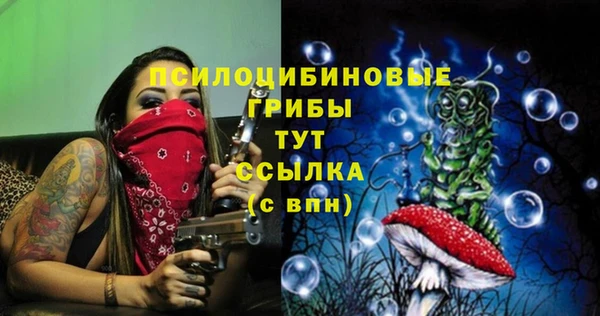 шишки Волосово