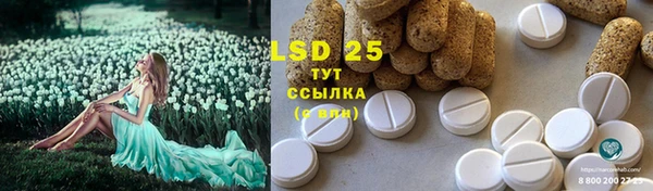 сатива Володарск