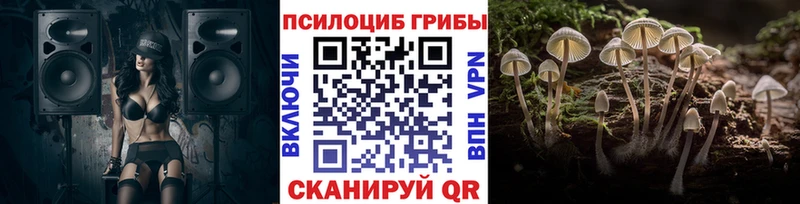 где купить наркоту  Зима  Галлюциногенные грибы Cubensis 