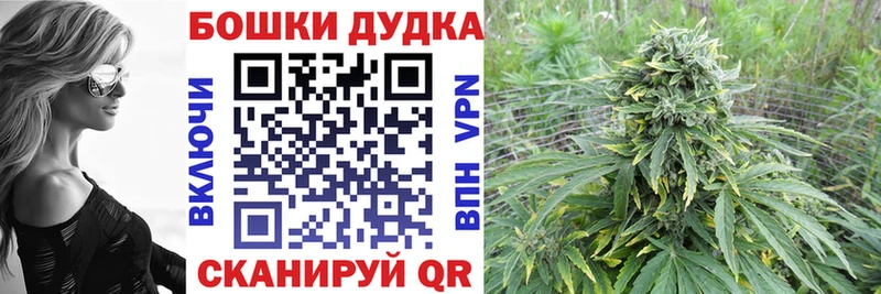 Шишки марихуана планчик  Зима 
